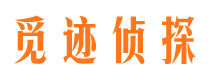 龙华外遇调查取证